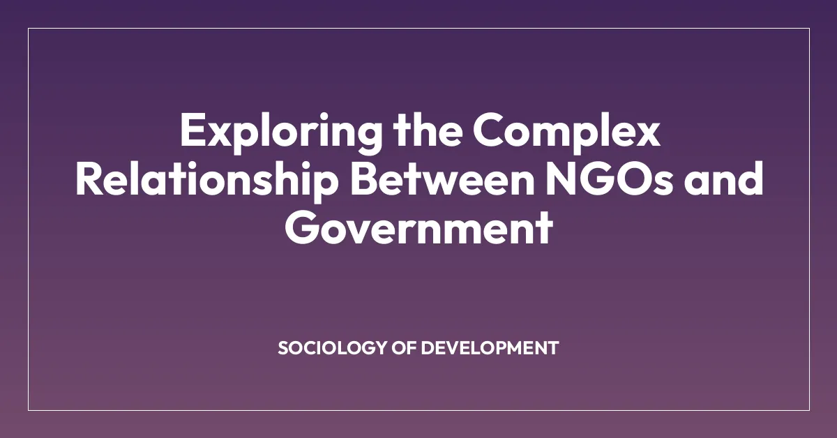Exploring the Complex Relationship Between NGOs and Government